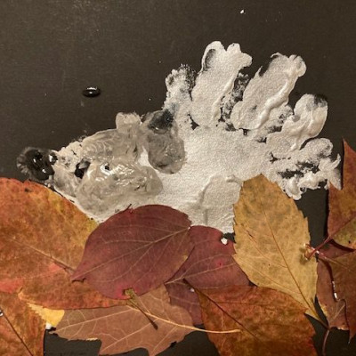 Herbstbild